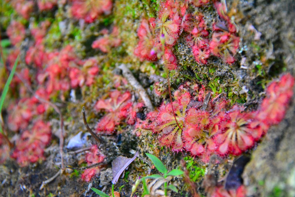 充滿禪意的坪溪古道_1455166