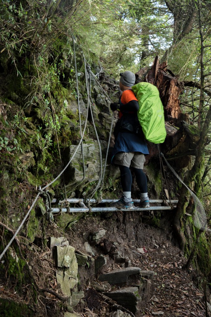 【奇萊主北】_638097