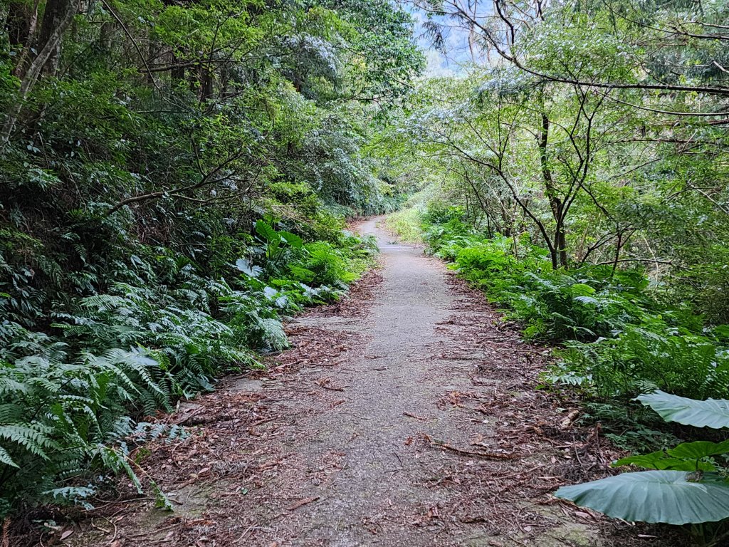 20250112貴妃山那結山外鳥嘴山蓮包山O型_2727121