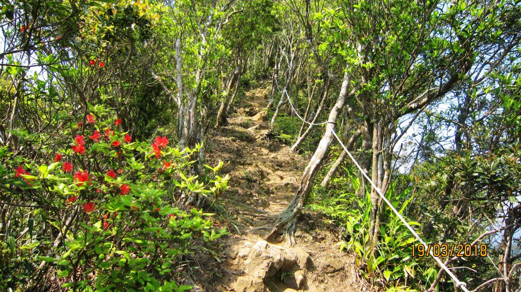 再訪 ~ 筆架山連峰 !_293899