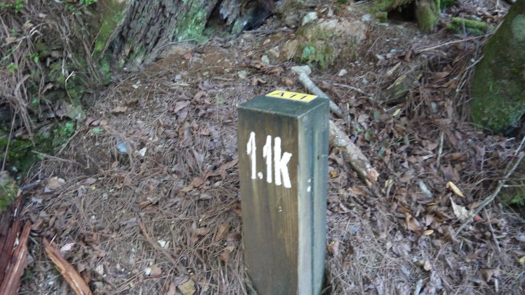 池有山單攻登山健行趣(百岳52)_1515175