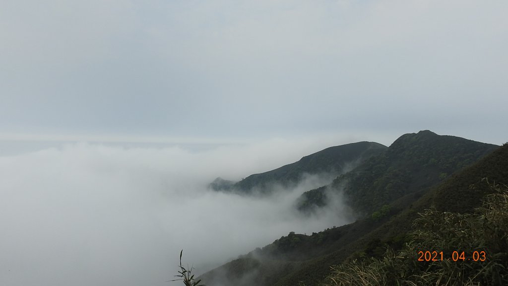 0403仙境般雲霧飄渺，陽明山再見雲海&夕陽，觀音圈雲瀑若隱乍現_1331510