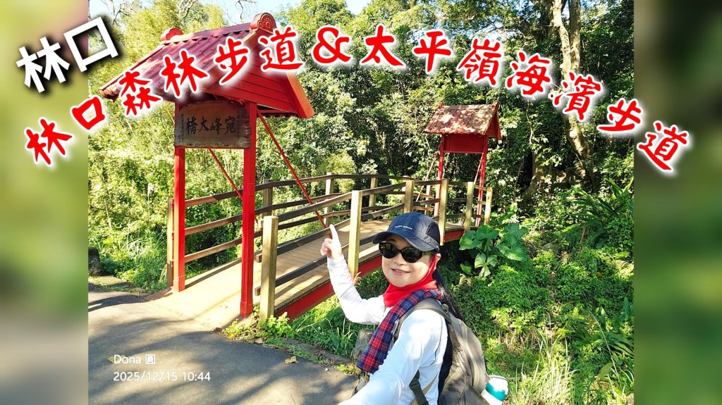 20251215林口森林步道+太平嶺海濱步道封面圖