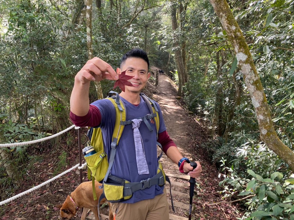 馬那邦山.細道邦山【你 不能預判山的變幻莫測】_2401484