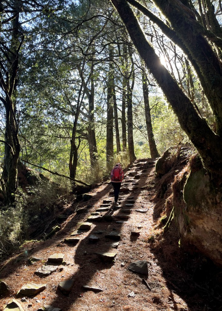 鹿林山+石水山+東埔山 20240402_2481621