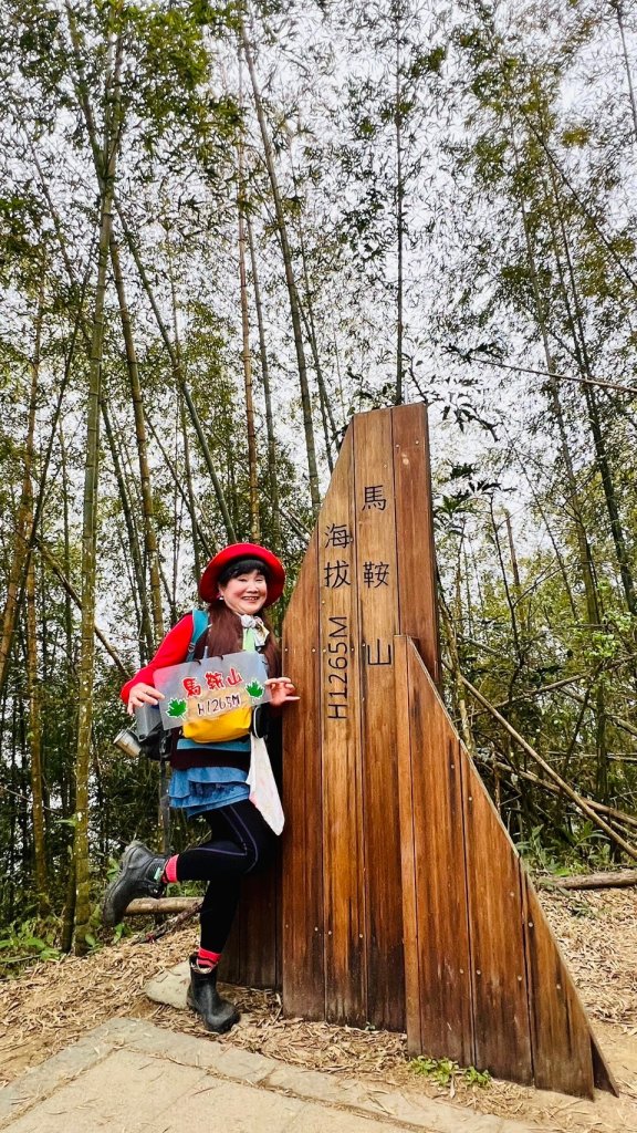 🌈1/12(日)漫步茶海雲海雲嘉抹茶山~雲嘉五連峰🌈_2687726