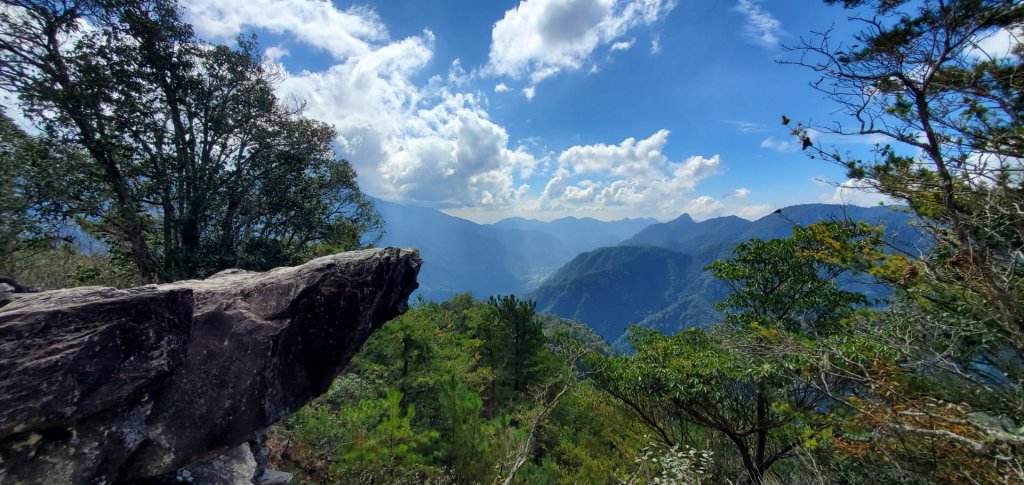 一日2座谷關七雄_屋我尾山與波津加山（大雪山登山口）封面圖