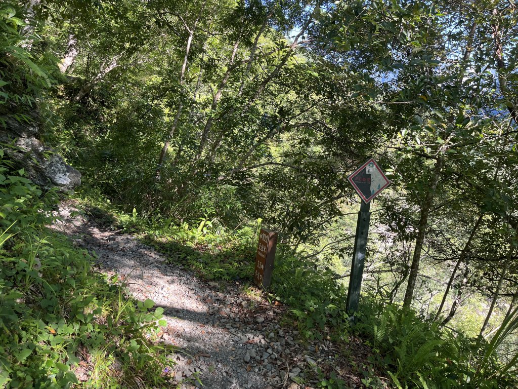 [玉山尋寶任務-03/12] 2025_0810 瓦拉米步道_2857531