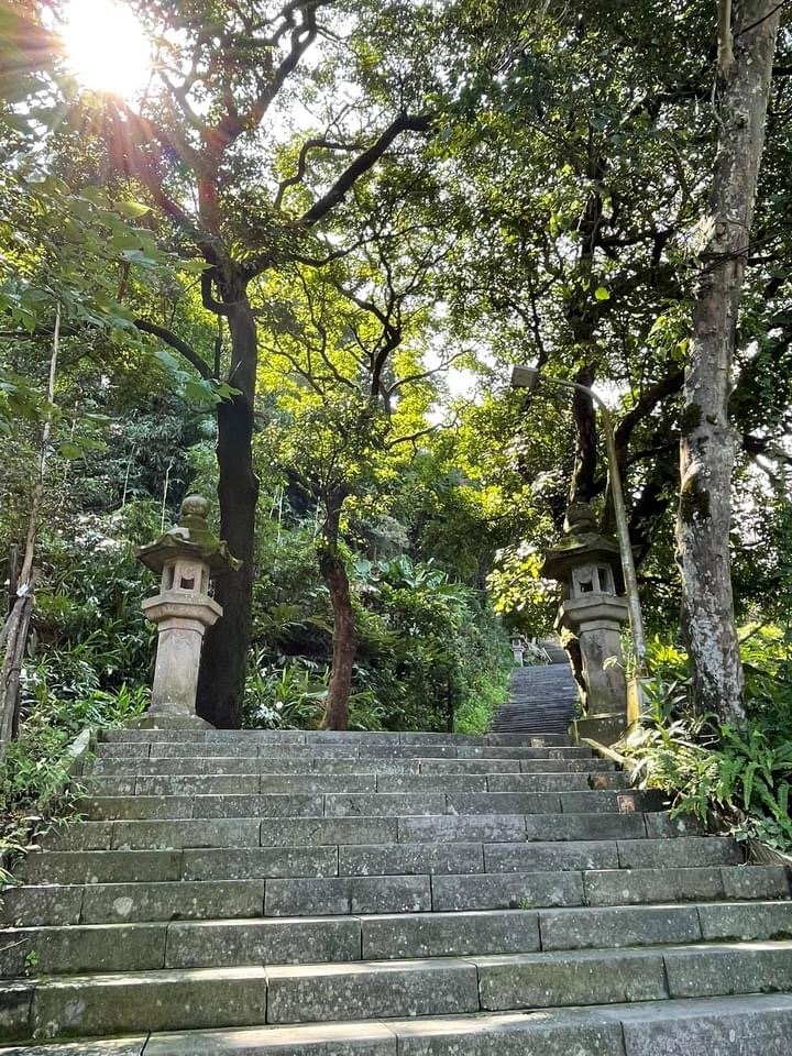 台北大縱走第七段+銀河洞_1471020