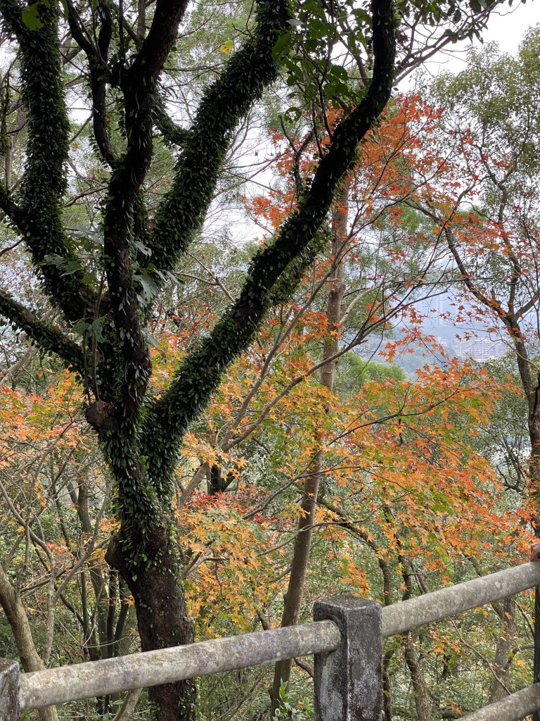 2024/01/04 拱北殿 北港山 老鷲尖山 內溝山_2410504