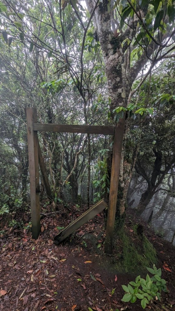 113.06.01魯壁山-東穗山之旅_2529875