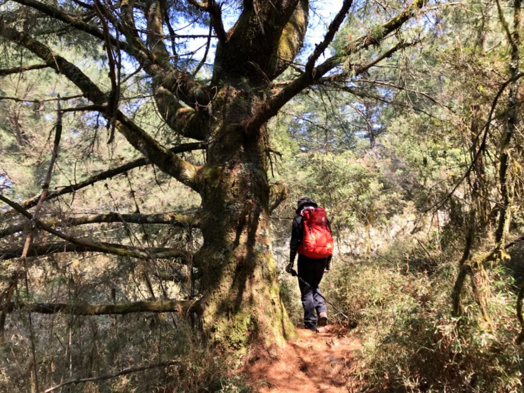 石山 石山引水道_551384