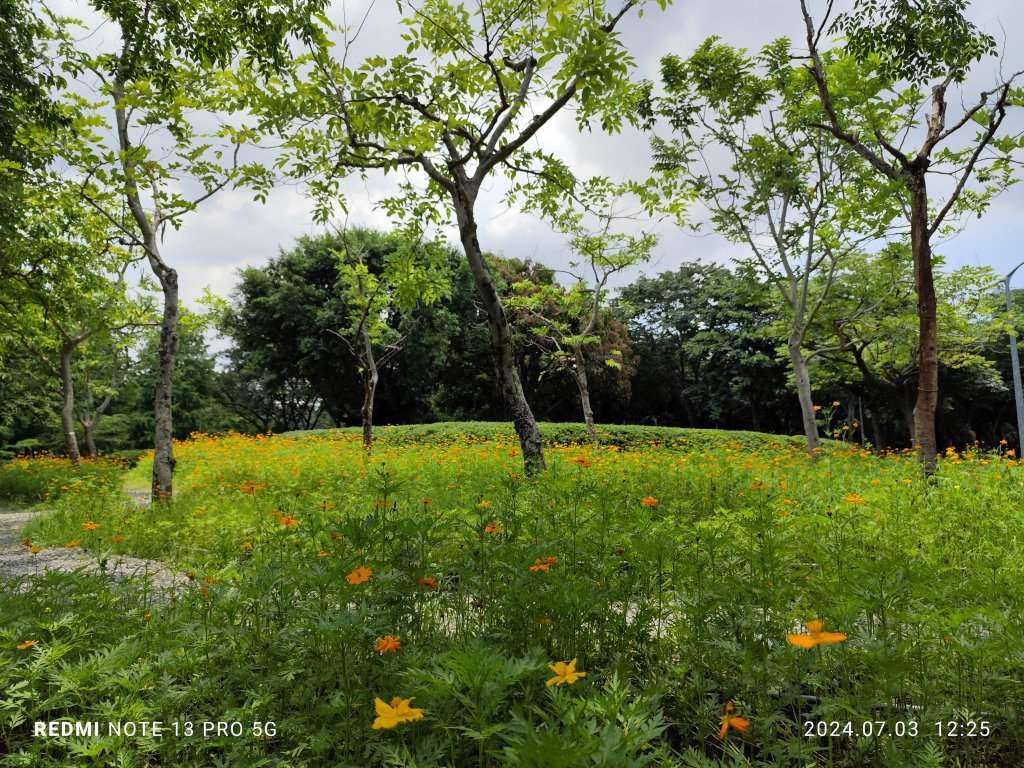 大安森林公園【走路趣尋寶】【臺北健走趣】_2541511