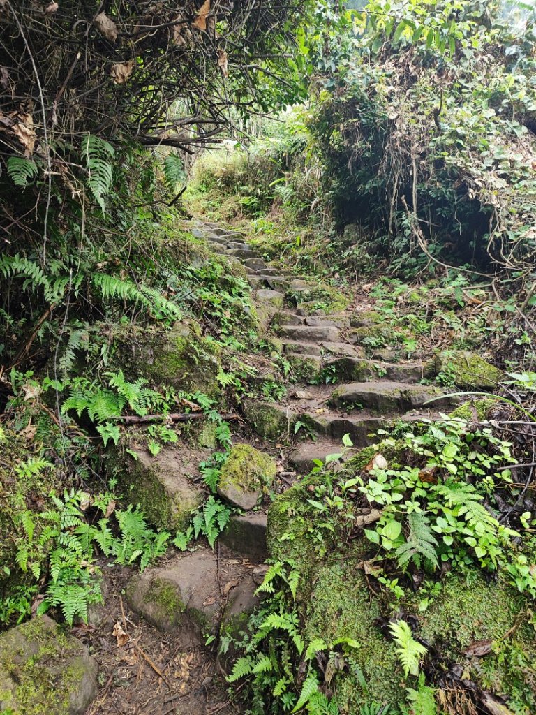 馬那邦山_2666819