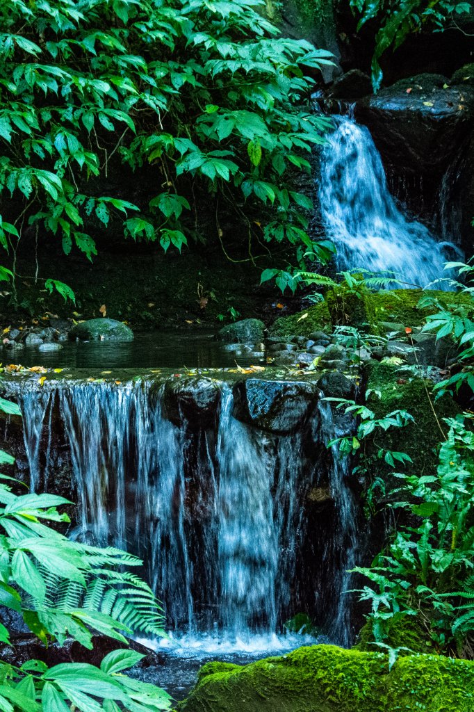 馬武督探索森林_2930696