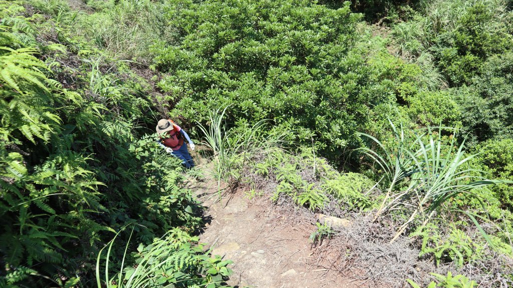 大鬼瀑布登山玩水趣(郊山)_2206875