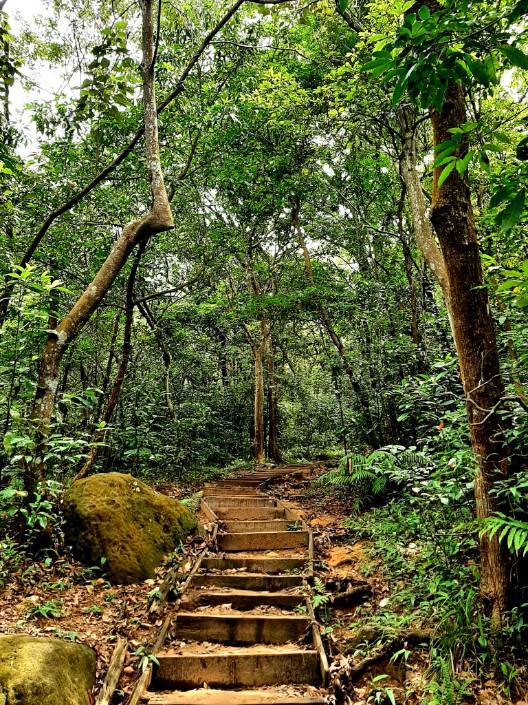 金面山、絹絲瀑布_2532385