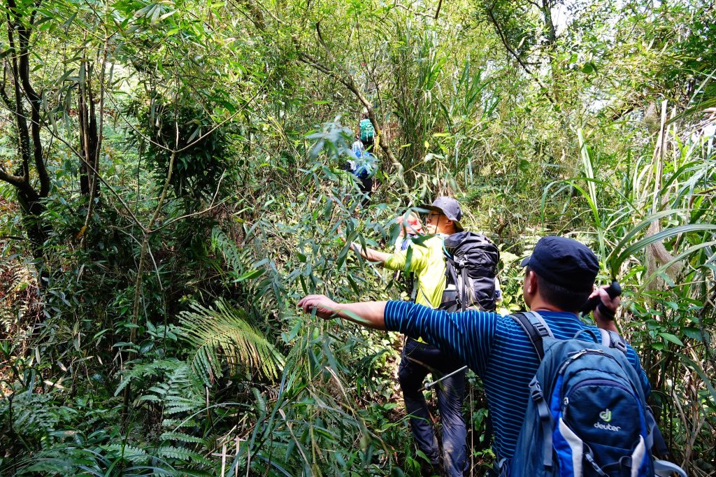 親子健行-獅蛇縱走_871767