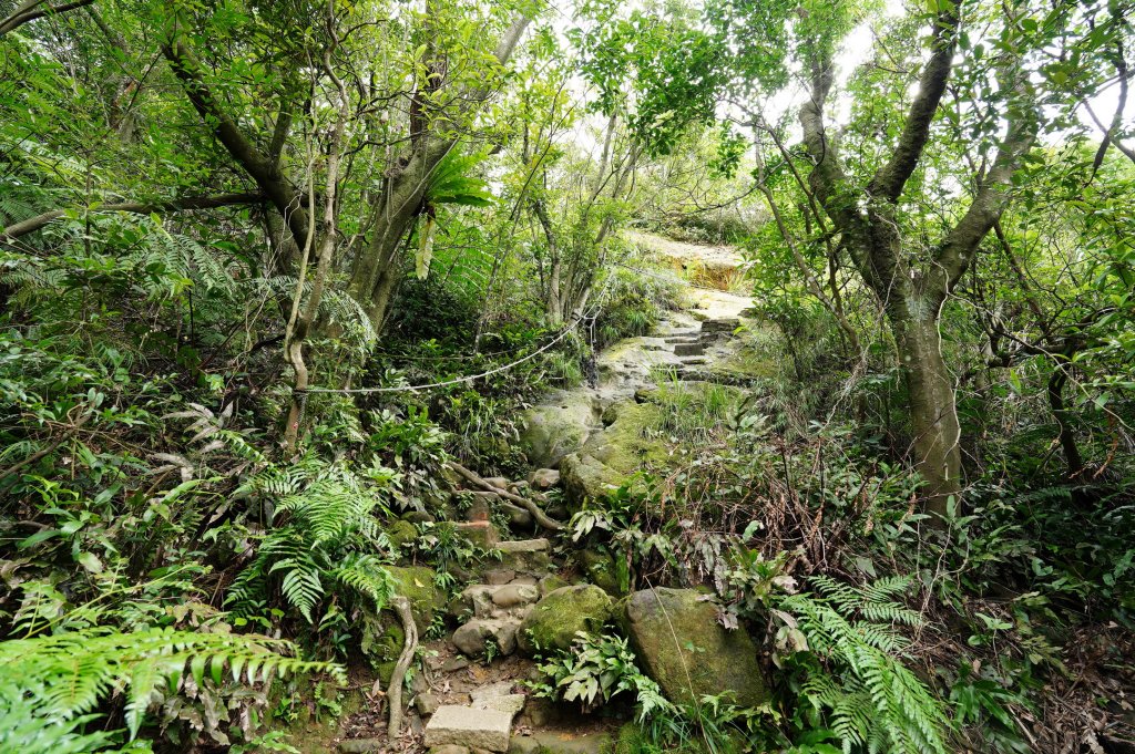 臺北 南港 南港山、拇指山、象、獅、豹、虎、四分里山、茅草埔山_2803436