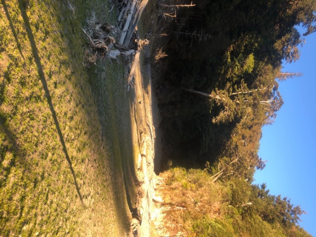 小關山林道上斯拉巴庫山_1285186