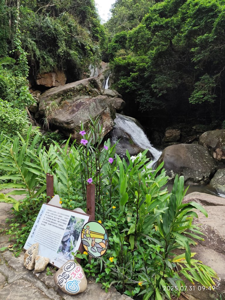 大湖公園→大溝溪生態治水園區→圓覺寺步道→圓覺瀑布→圓覺寺→鯉魚山步道【臺北大縱走 4、臺北健走趣】封面圖