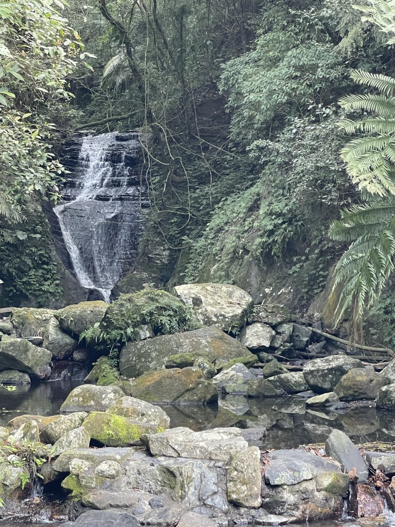 聖母登山步道（抹茶山）_2458317