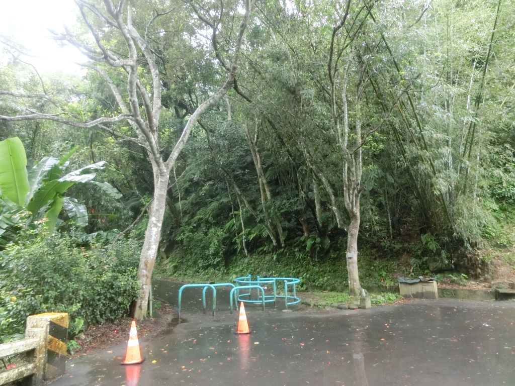 百吉林蔭步道．慈湖頭寮_221563