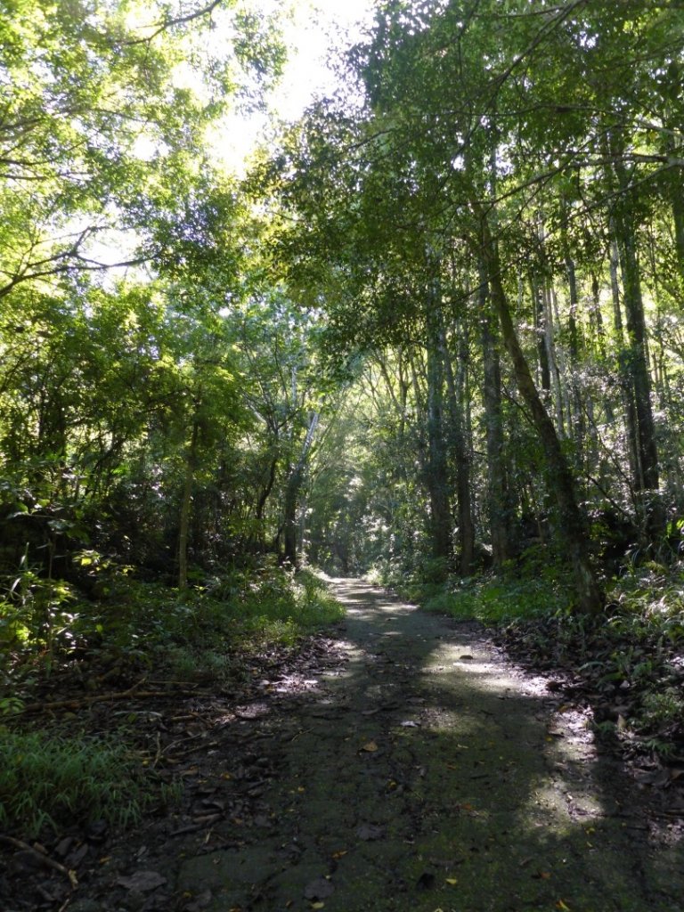 110.09.04白毛山_1452277