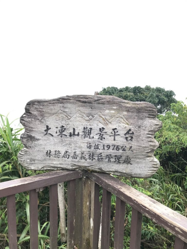 嘉義大凍山封面圖