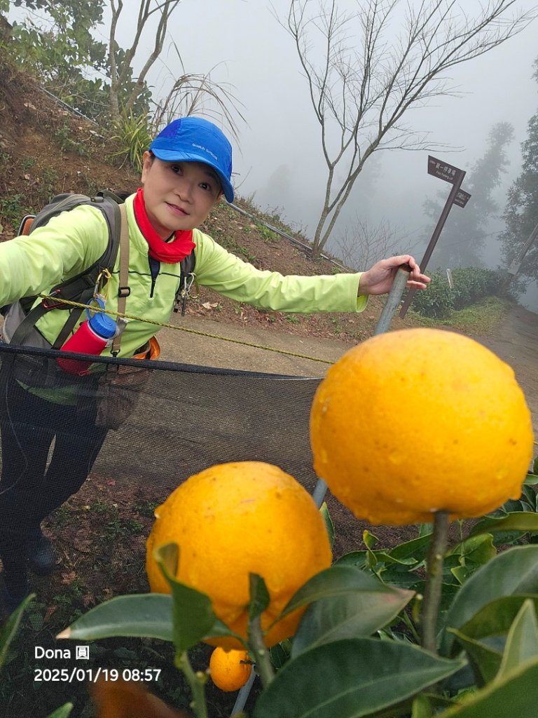 小百岳馬那邦山(H1407m)加碼採草莓_2694642