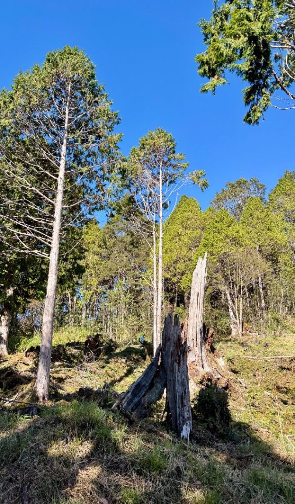 三星山(小百岳#85) 鳩之澤溫泉煮蛋趣_2953227