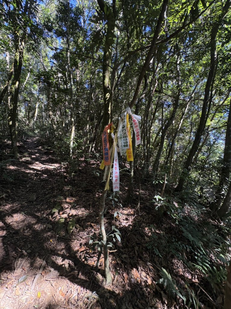 20251116鳴海山、網子山登山步道_2938365