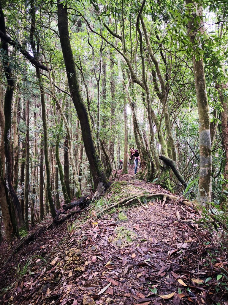 油羅山之趴_439816