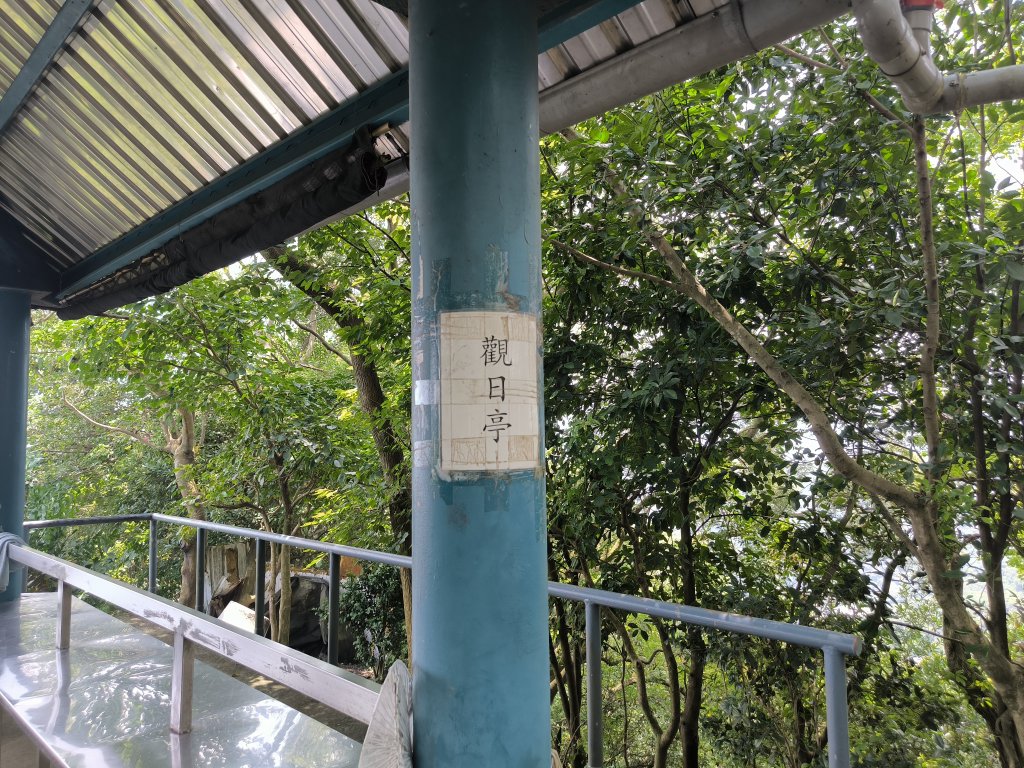 20250809樹迴縱走_2855048
