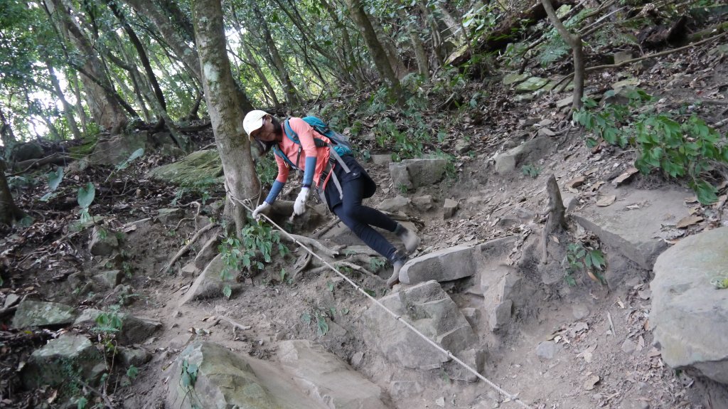 虎山登山健行趣(中級山)_1516952