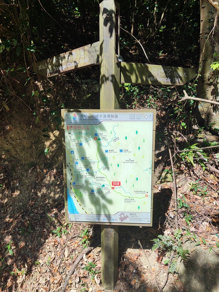 微笑山線：【大棟山系】百年大榕樹段_2868484