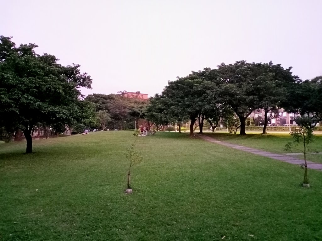 風光旖旎的臺大校園、內湖區湖濱里、碧湖公園【走路趣尋寶】_1934222