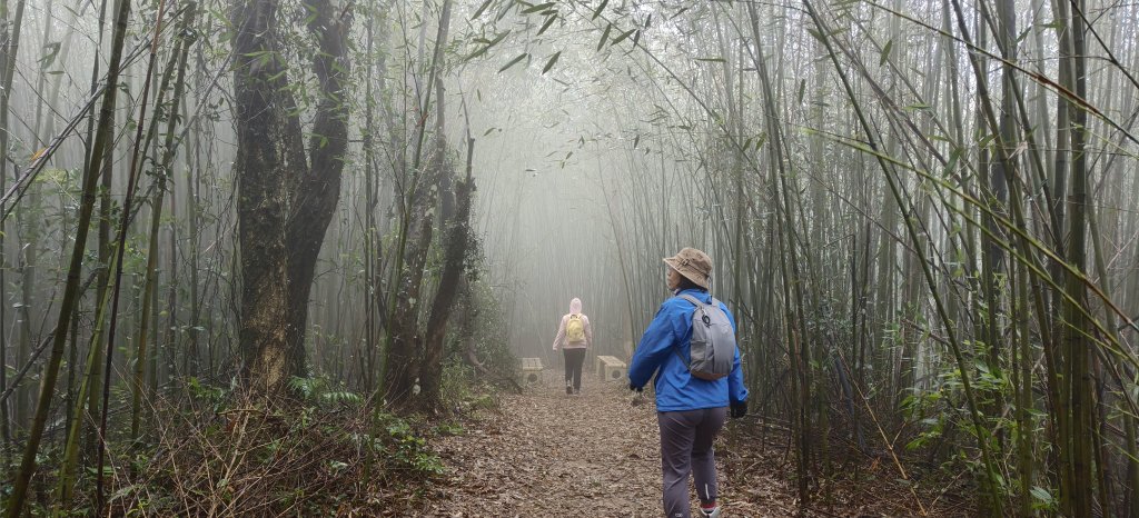2024/12/14_關刀山步道O型封面圖