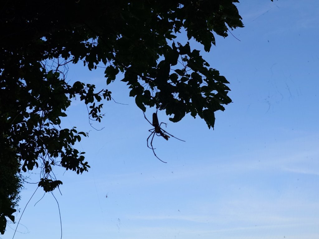 微笑山線之鳶山任務_2855499