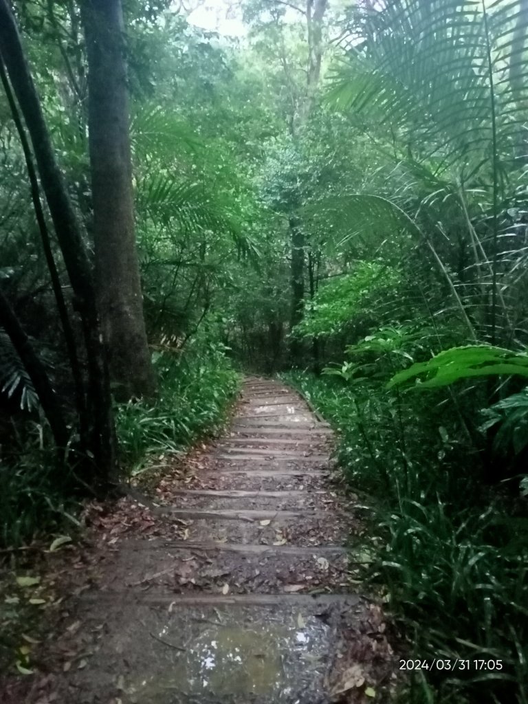 【臺北大縱走 6】中華科大→捷運麟光站、【小百岳集起來】#013 南港山 H375m_2470682
