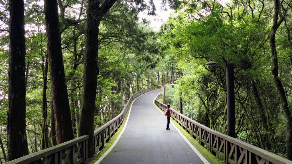 阿里山森遊區-祝山,對高岳步道_2536997