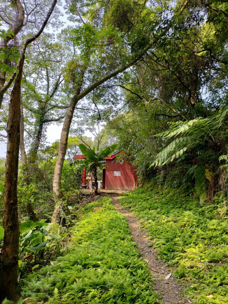 大棟山縱走(鶯歌上山佳下)_1319286