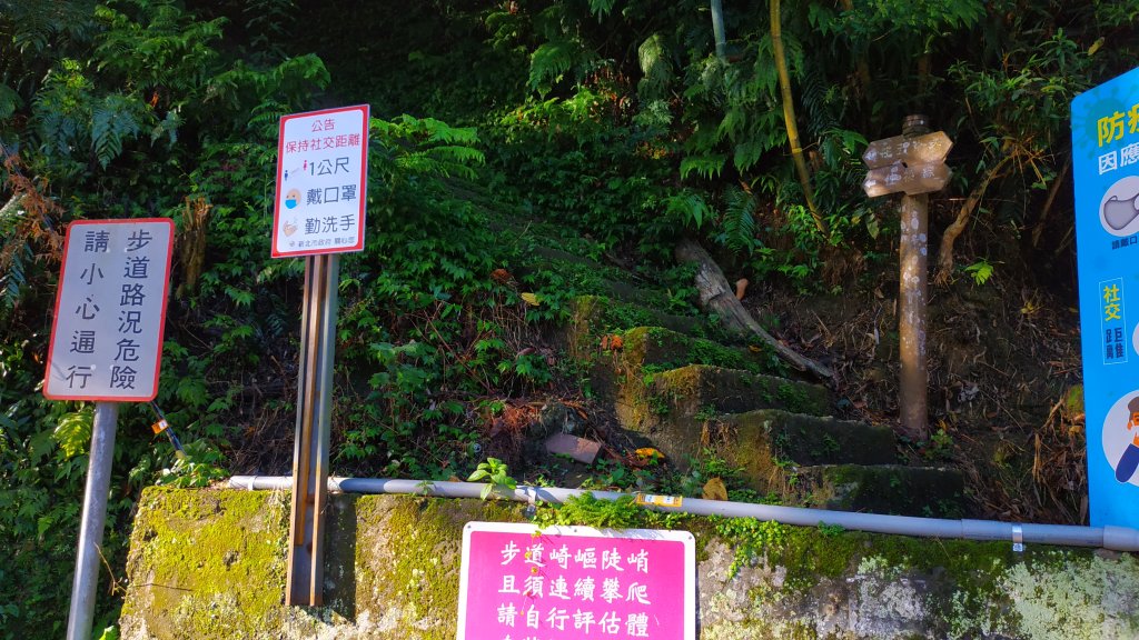 郊山之王~五寮尖_1102653