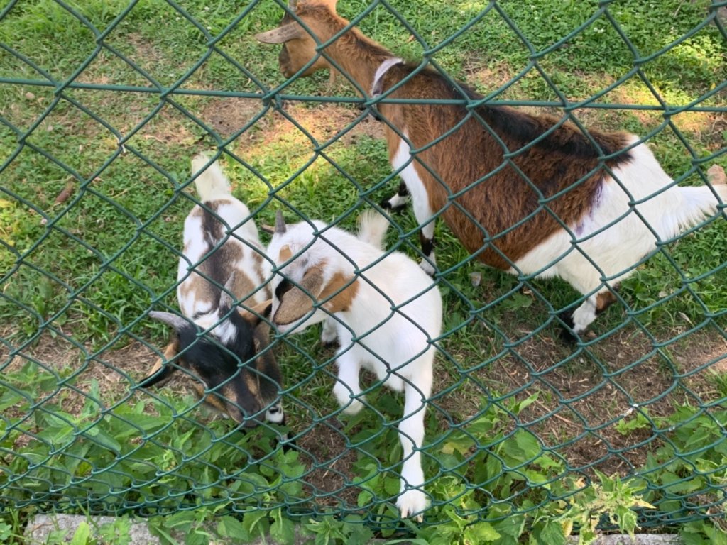 葡萄牙之路中央線（D3）_632595