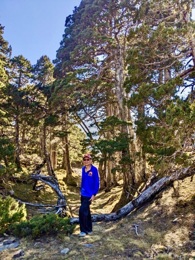 啟動高山度假模式～阿蓮五虎兄弟之馬博橫斷_2073082