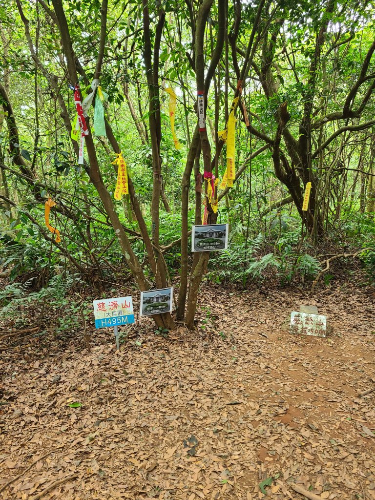 挑炭古道(三通嶺古道)+慈濟山步道_2780439