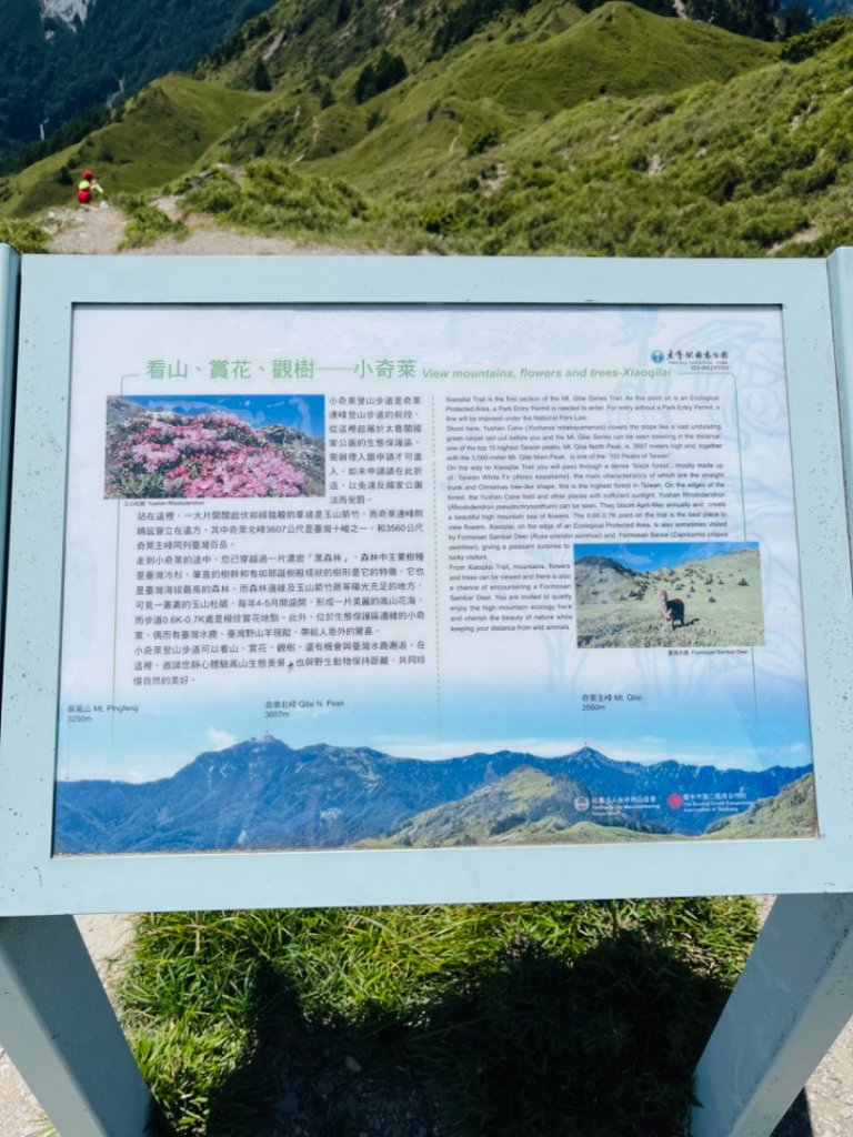 小奇萊步道_2535114