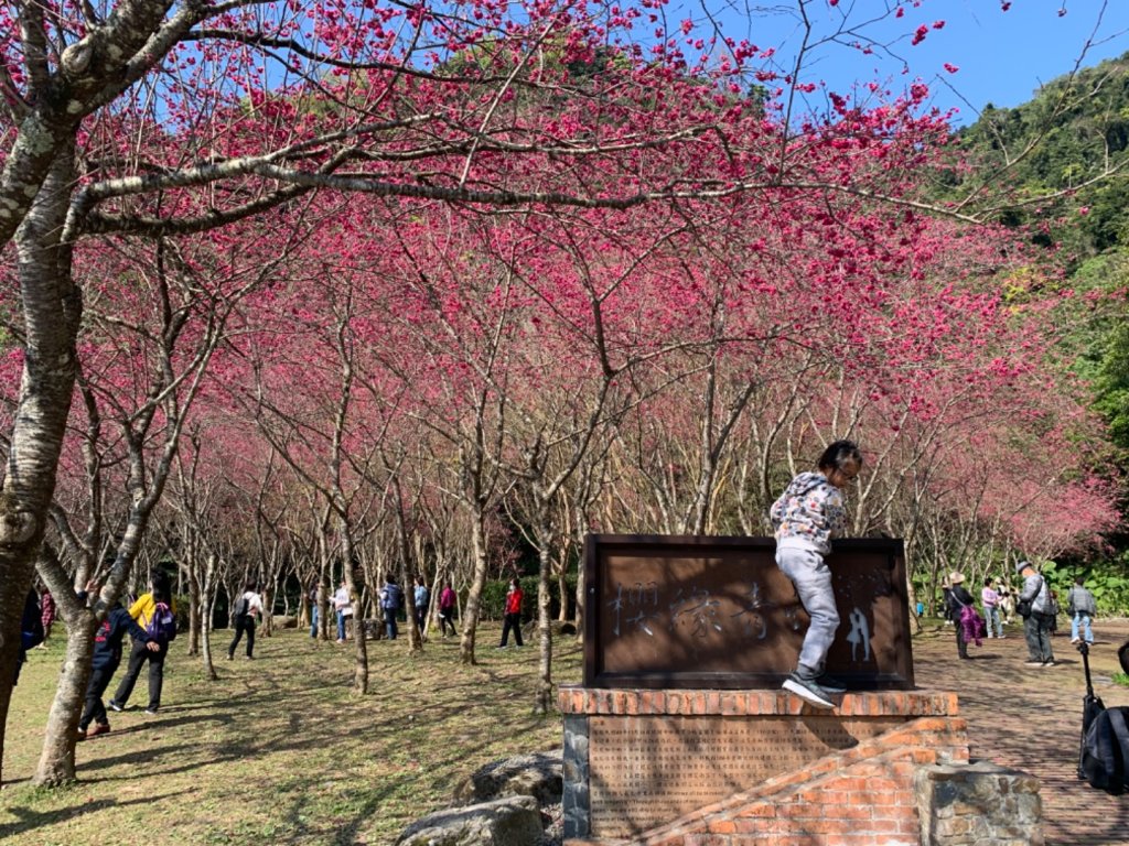 宜蘭見晴懷古步道與太平山_832777