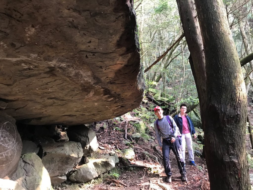 哈勘尼山-河谷O型_908657