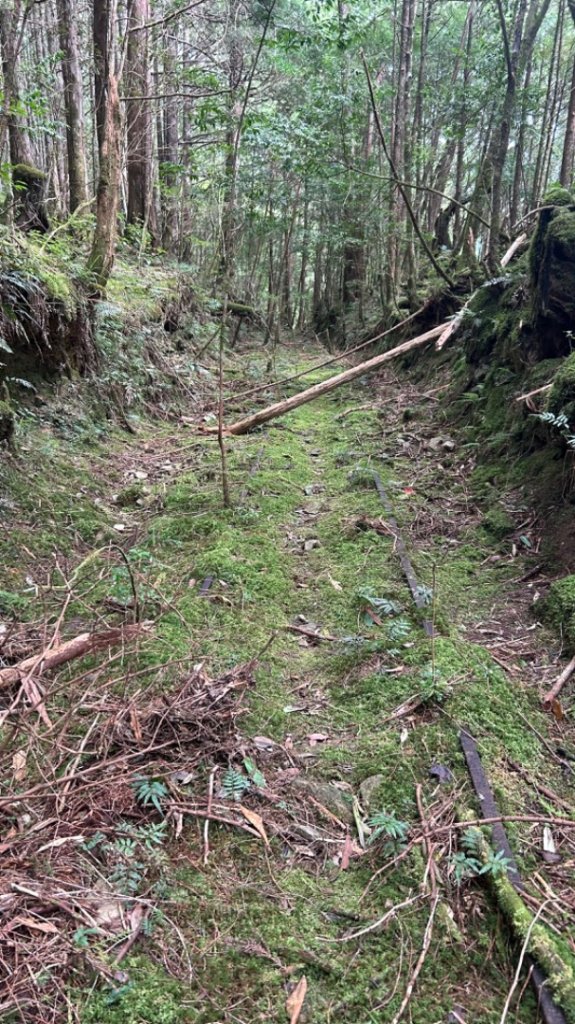 多門山山麓見晴運材軌道_2597617